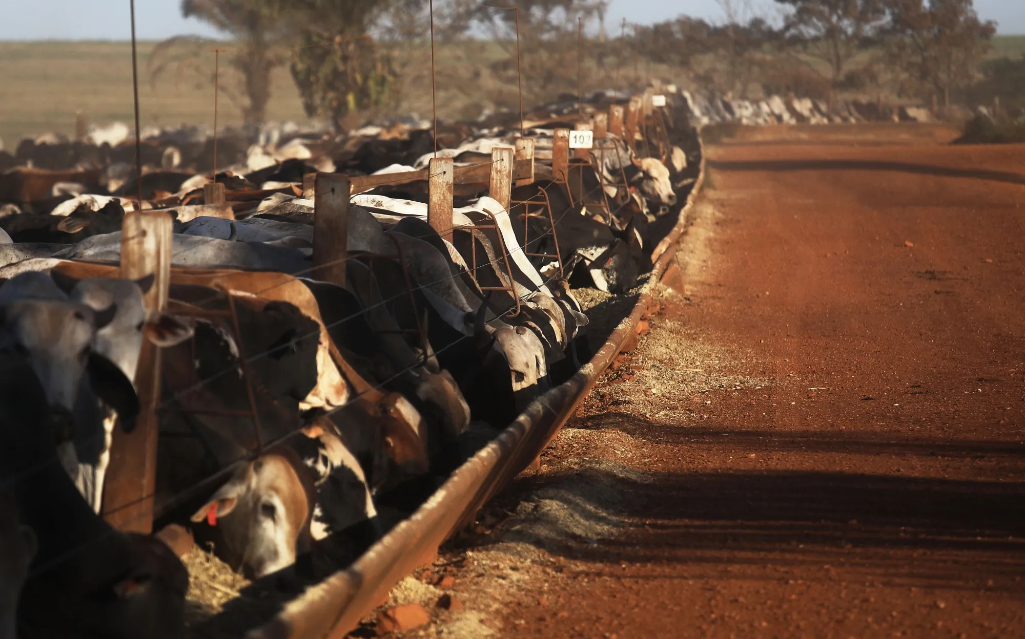 Brazilian steaks&nbsp;increasingly end up on Chinese plates.