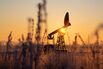 Russian Oil Fields Ahead of 180th OPEC Meeting