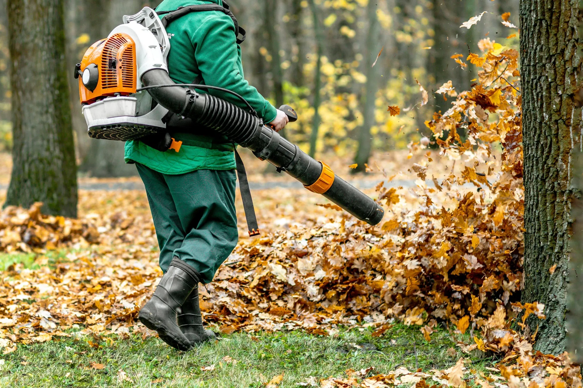 
Local tensions over gas-powered leaf blowers are a rite of autumn in many US cities.
