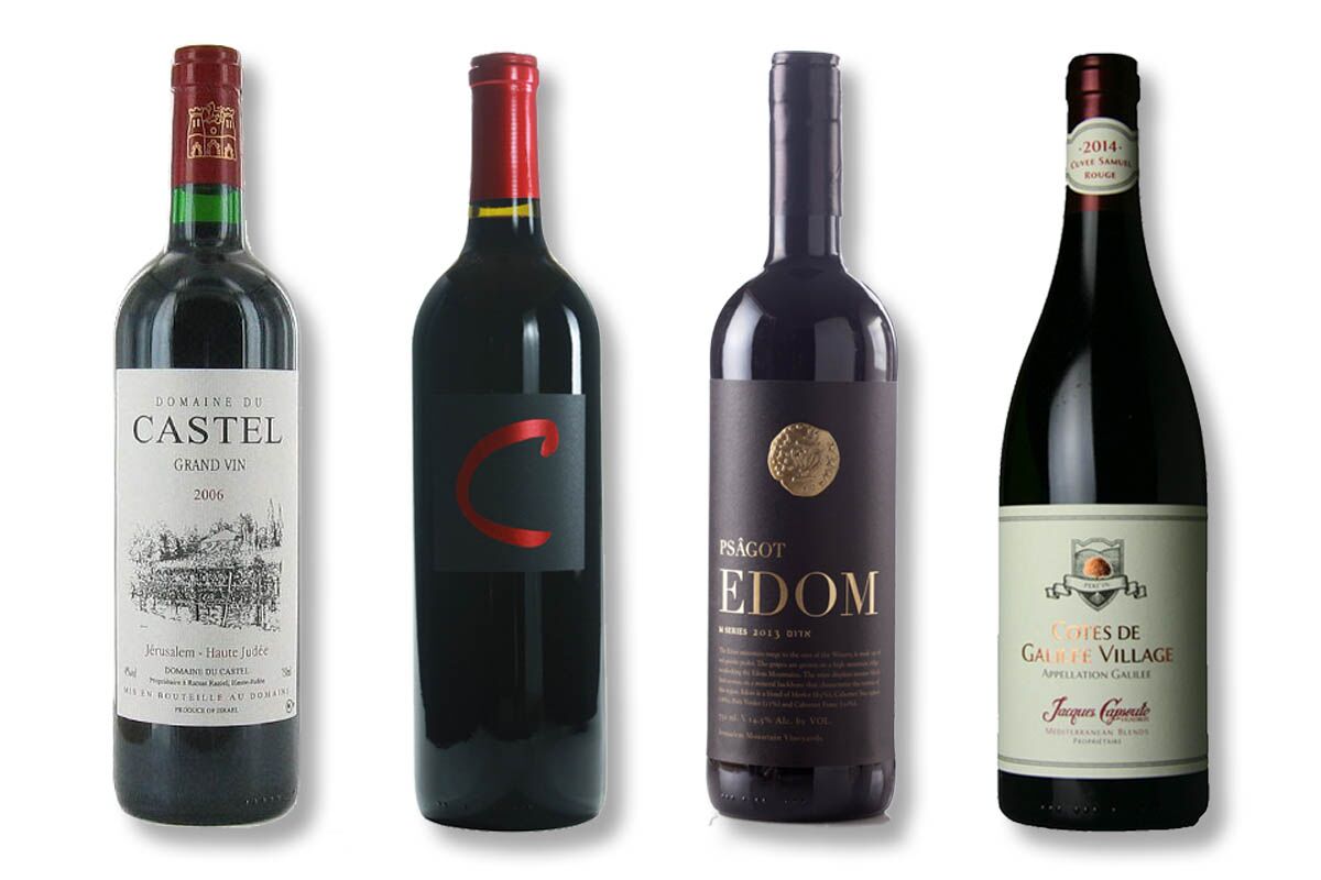 Kosher For Passover Wine atelieryuwa.ciao.jp