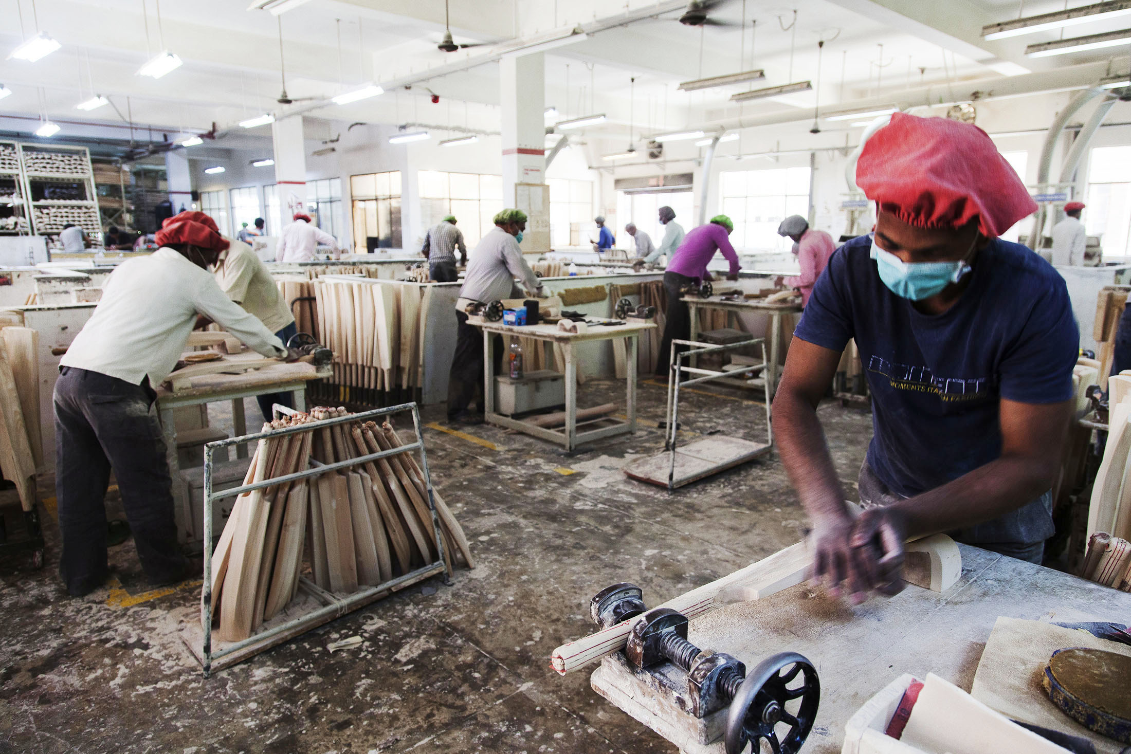 The Cricket Factory Where Dreams Are Made Bloomberg