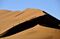travel-namibian-desert-lions-bloomberg-18