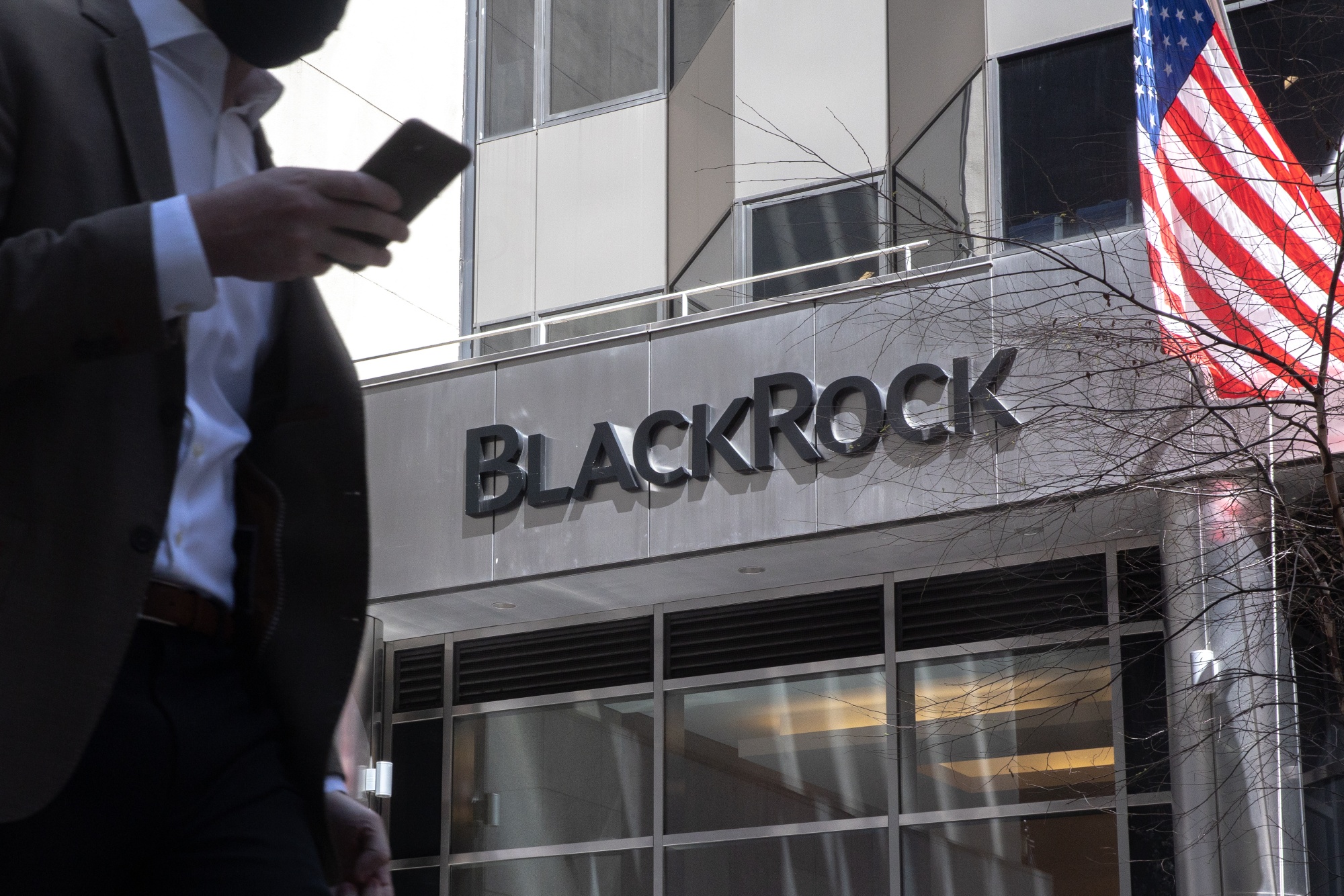 BlackRock Downplays How Big It Is in Wake of Elizabeth Warren Backlash