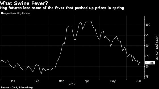African Swine Fever Premiums All But Vanish From Hog Futures