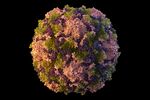 The polio virus has been found in New York City’s wastewater in another sign that the disease, which hadn’t been seen in the US&nbsp;in a decade, is quietly spreading among unvaccinated people, health officials said on&nbsp;Aug. 12.