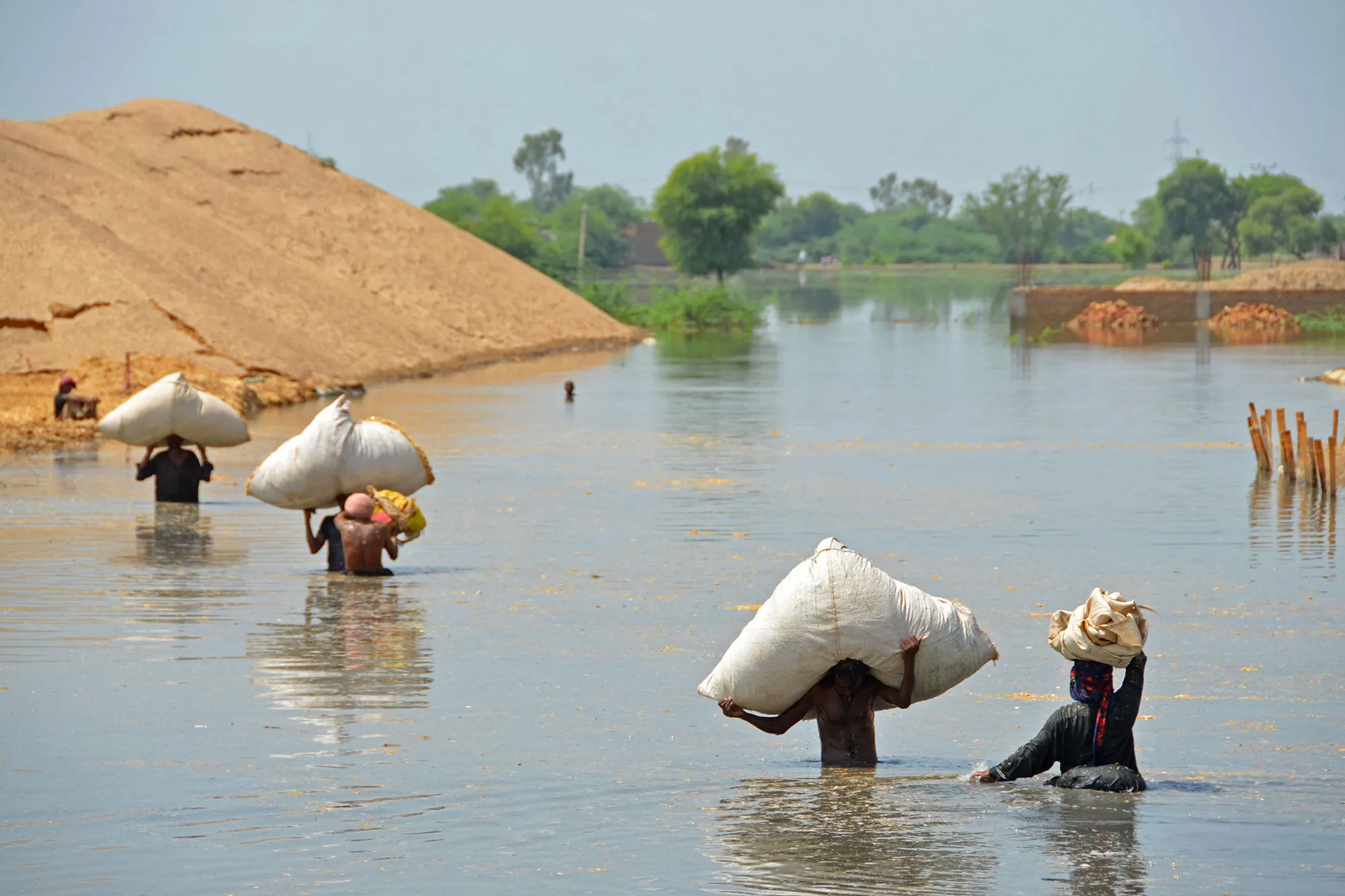 Internally displaced people shift husk for their animals in a flood-hit area of&nbsp;Balochistan province, on Sept.&nbsp;7.