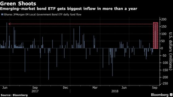 World Markets Are Ready for Comeback as ’America First’ Seen Fading