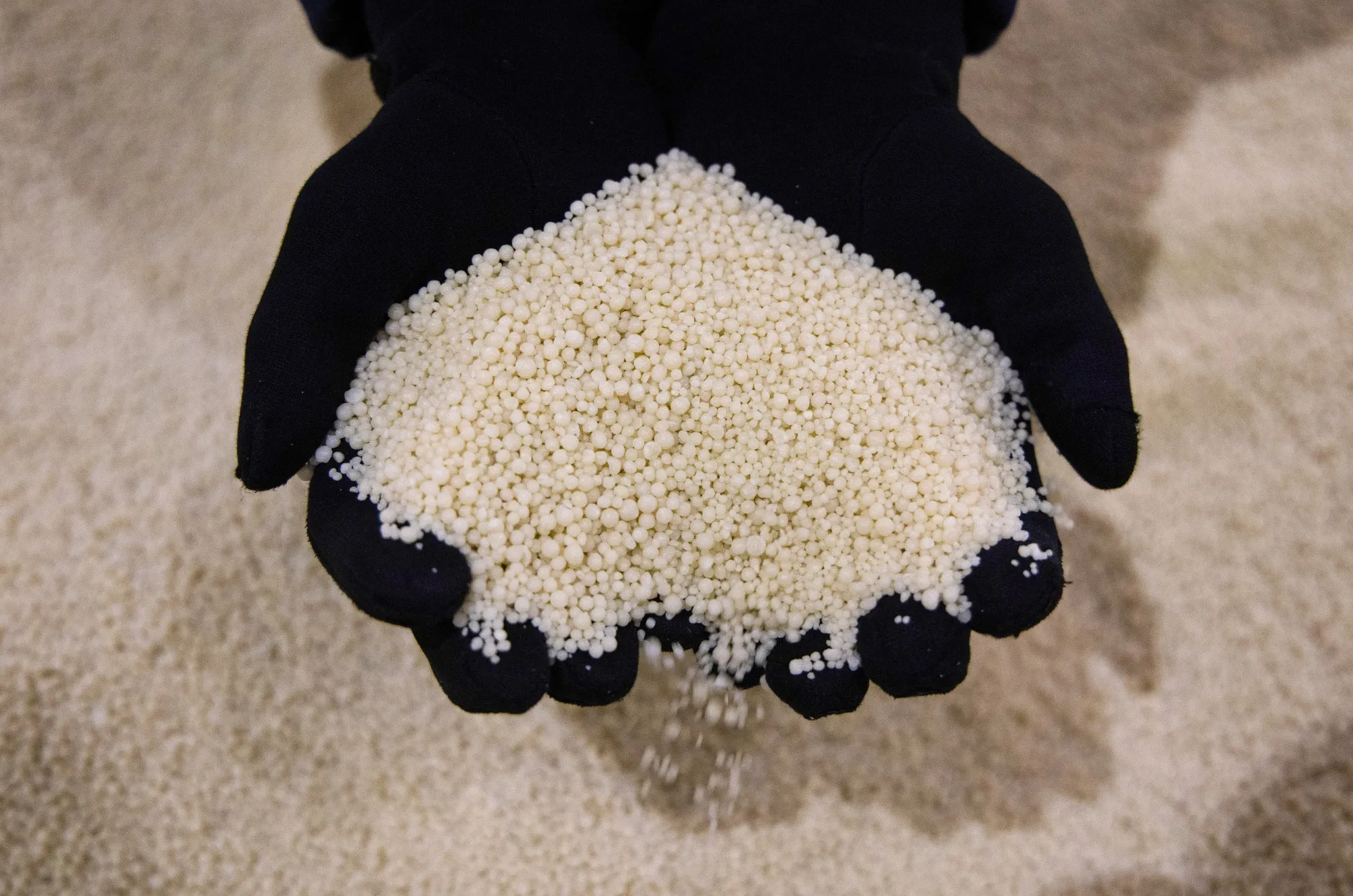 Phosphate fertilizer granules.