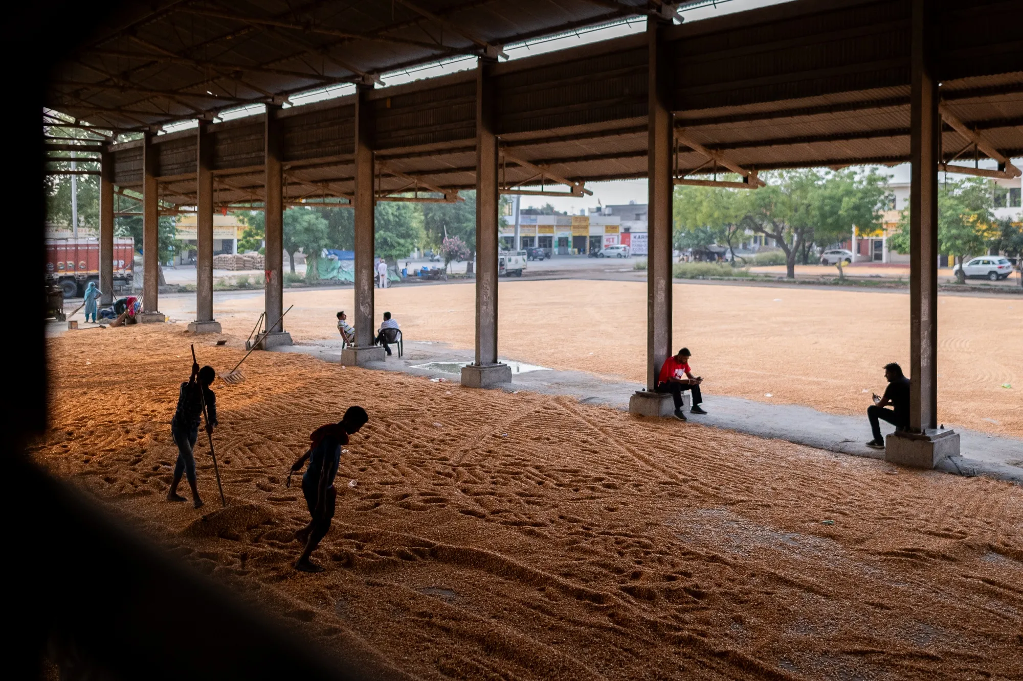 Workers spread out corn at a wholesale grain market near Karnal, Haryana, India.&nbsp;