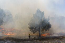 Calfire Conducts Prescribed Burn In Groveland