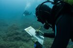 An amateur diver participates in the Resmed citizen science project to count fishes off the Medes Islands in Spain in July 2020.