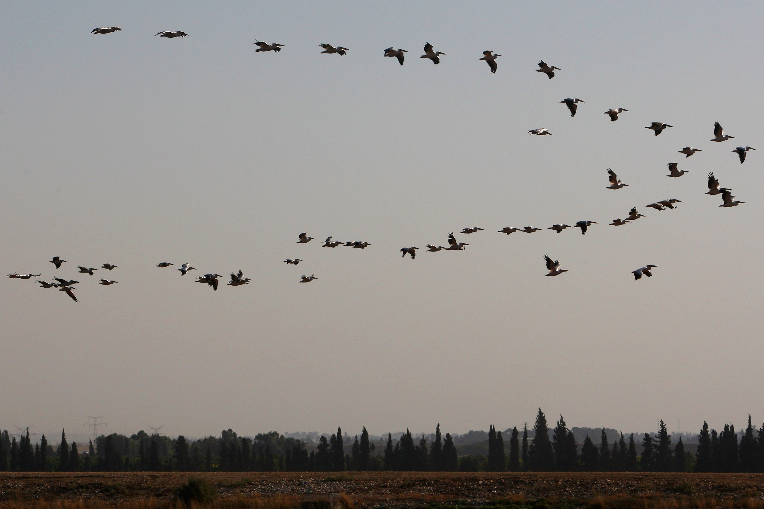 Stock Market Round Trip Comes a Little Too Fast Bloomberg