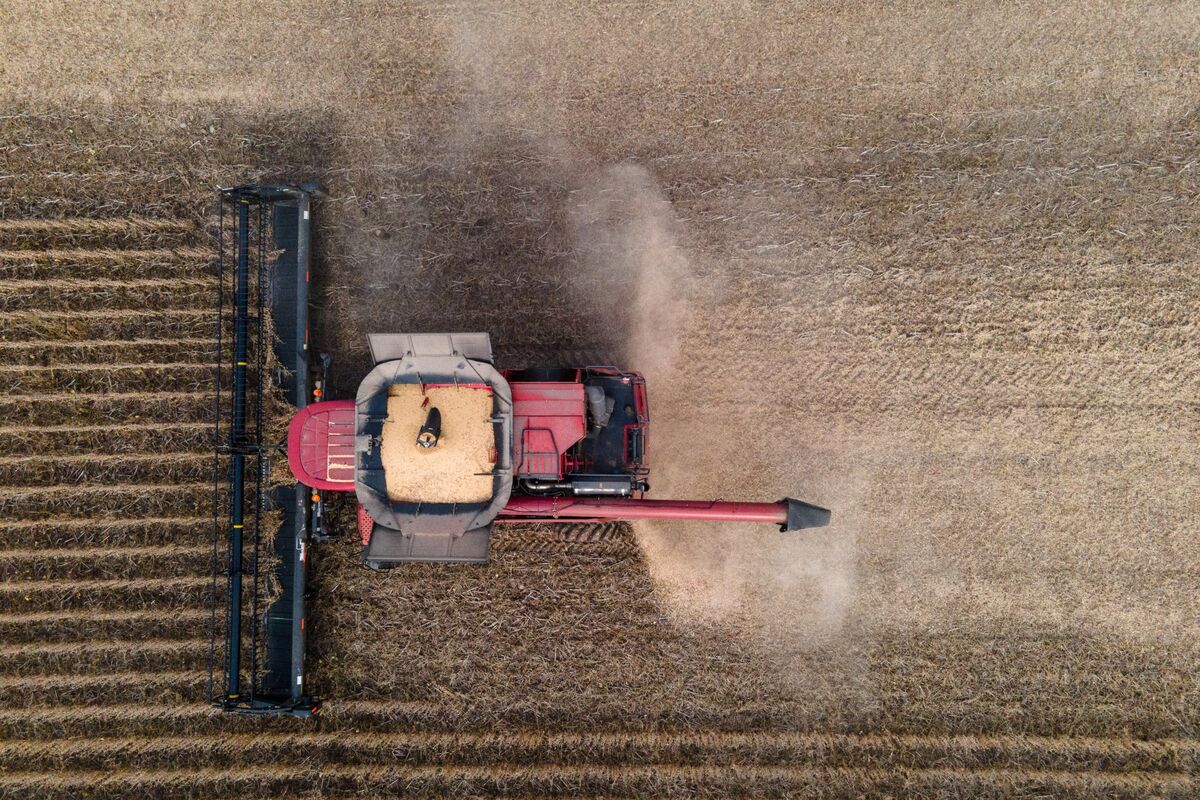 Trump Invokes Defense Law on Phosphorus, Herbicide Supplies