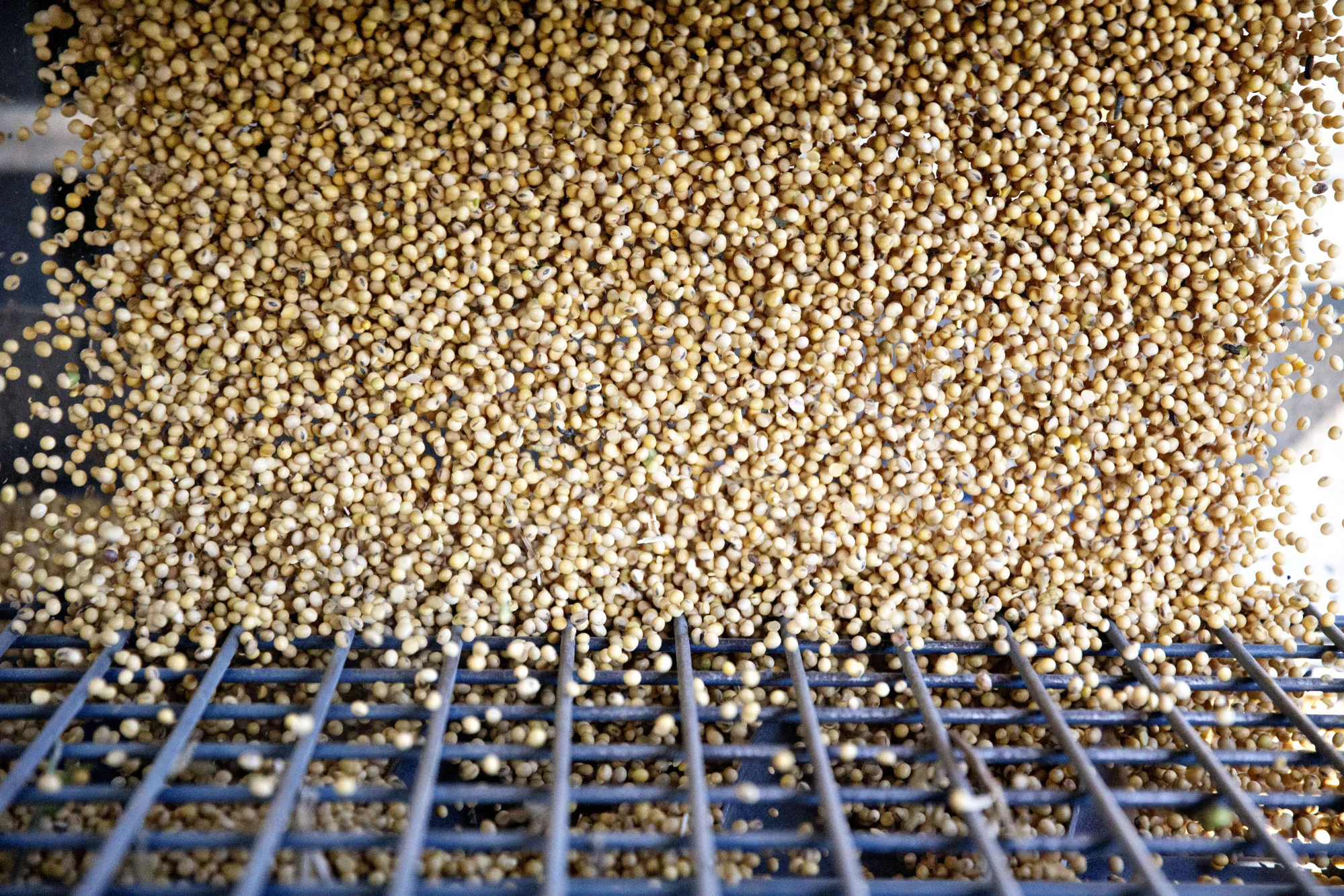 Operations During Corn And Soybean Harvests As New Nafta Secures Some Exports