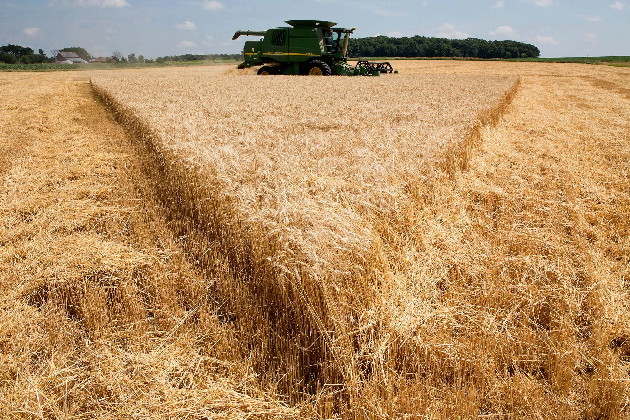 1469995709_300215544_1-16