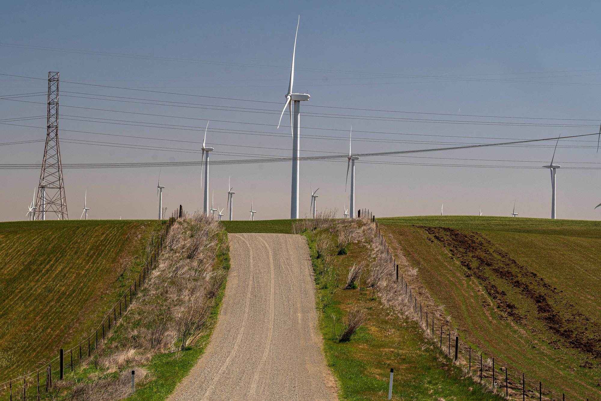 Wind turbines in Rio Vista, California.