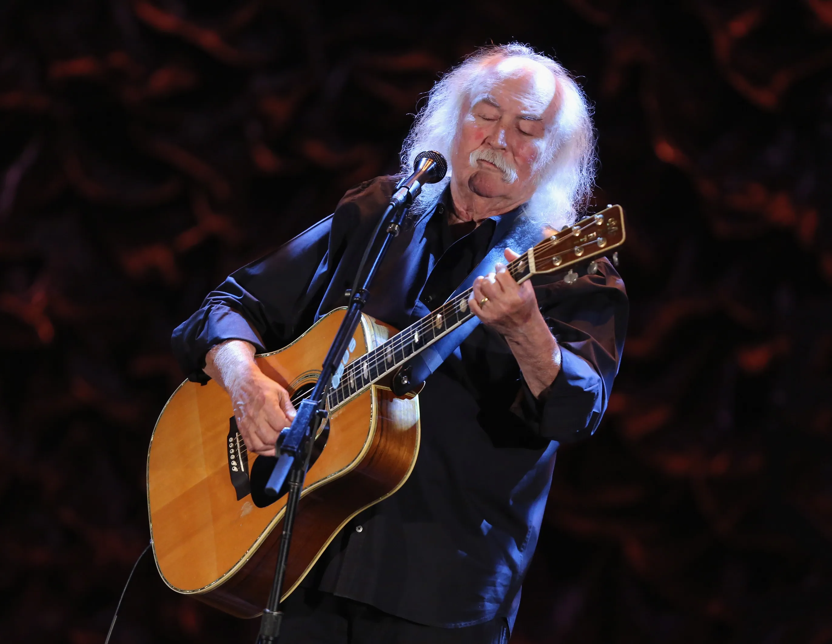 David Crosby performs in Los Angeles in 2013.