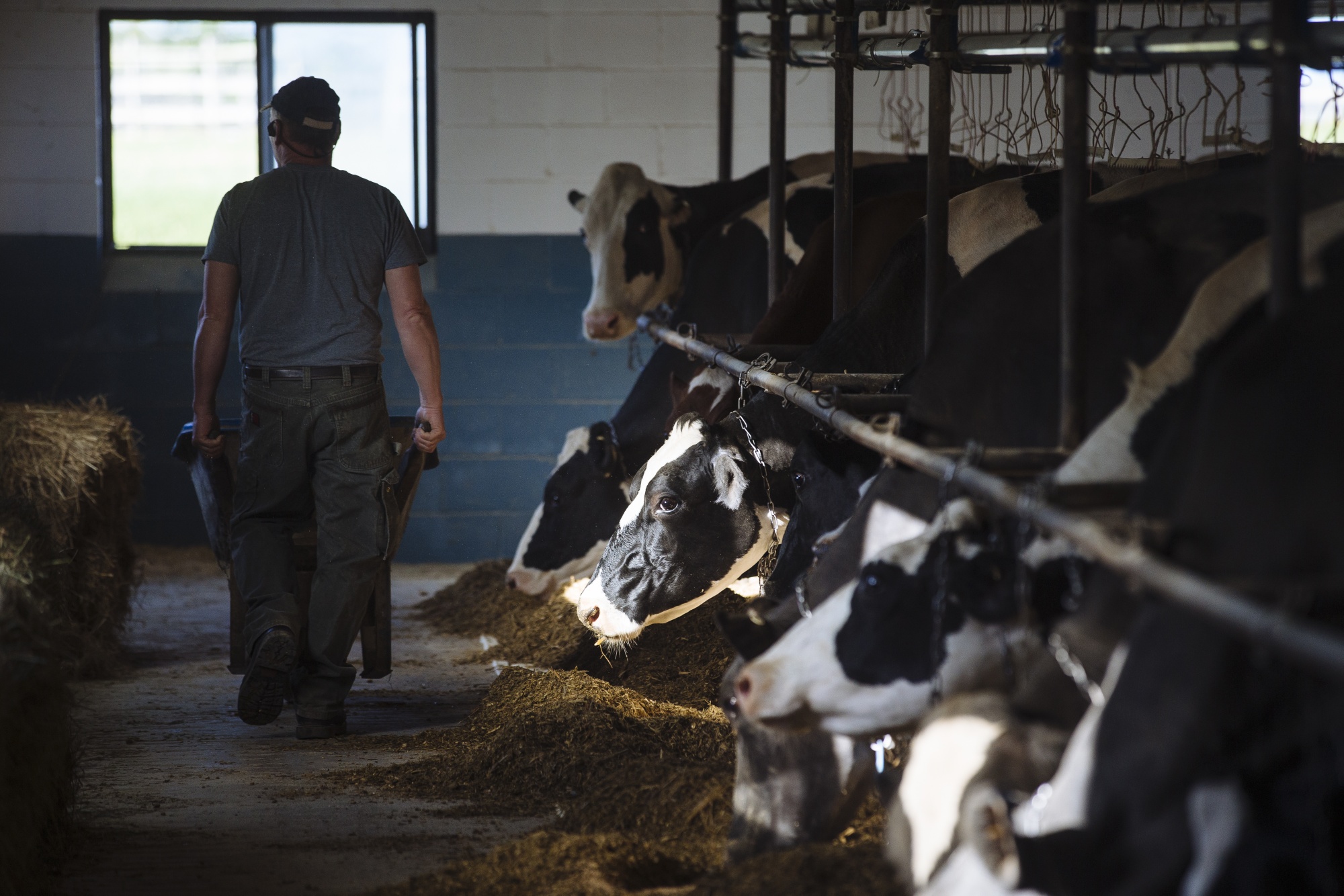 Shrinking U.S. Milk Output Poised to Drop More, Dairy Group Says ...