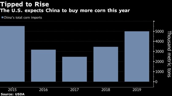 China Is Getting Ready to Buy More U.S. Corn After Trade Talks, Sources Say
