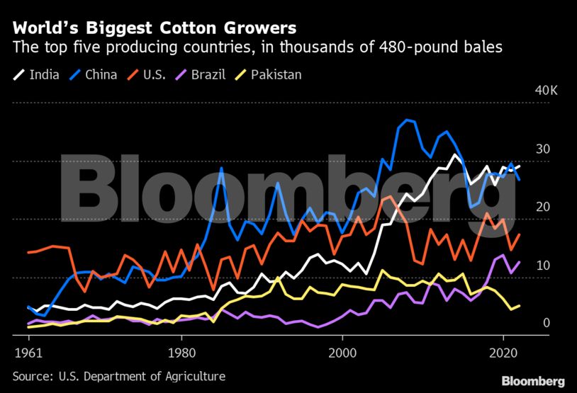 World’s Biggest Cotton Growers