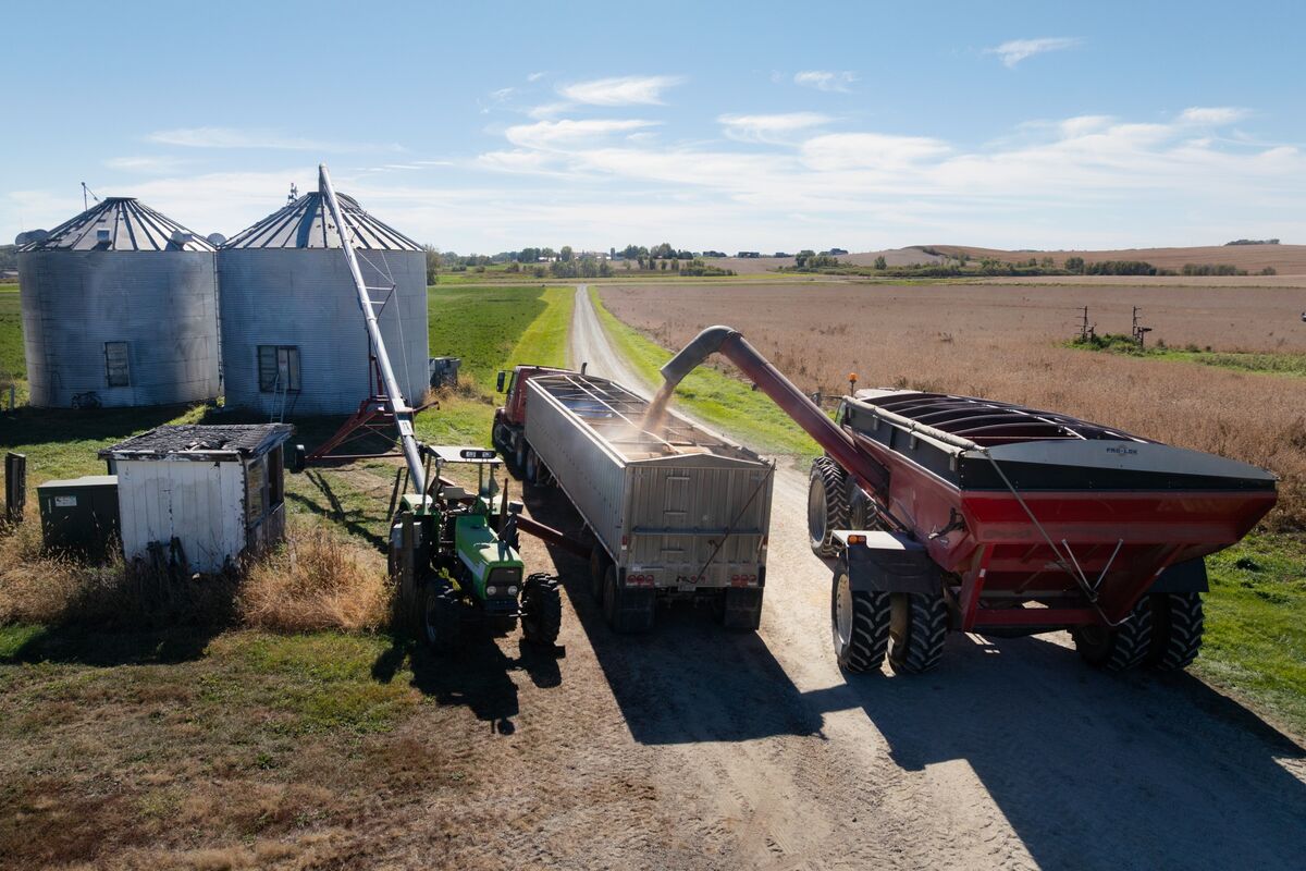 Soy Rises to Highest Since November With US-China Talks in Focus