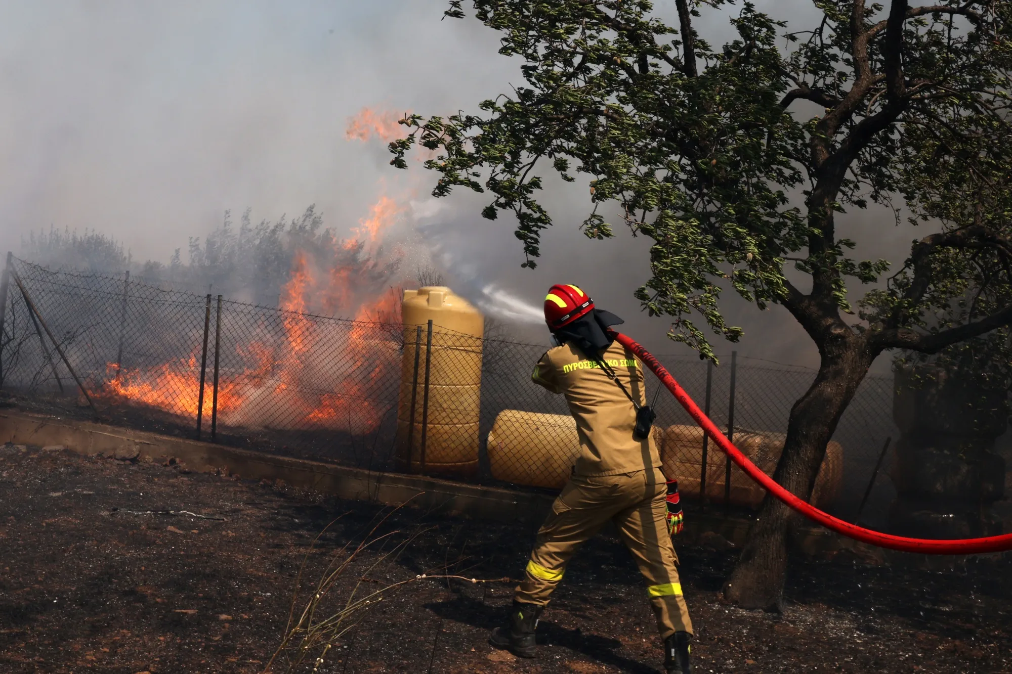 Firefighters extinguish a wildfire, in Kitsi, near the town of Koropi, Greece, on June 19.