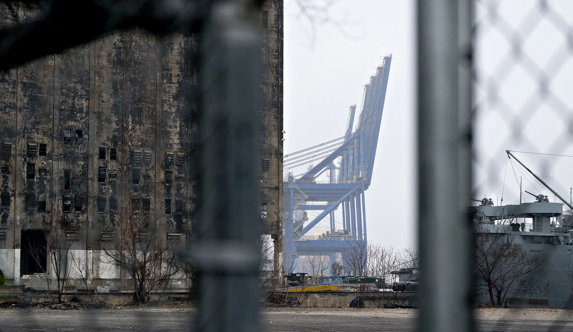 Gantry cranes stand idle at the Port of Baltimore on March 23.
