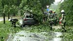 Firefighters remove a tree that fell on a car during a thunderstorm in&nbsp;North Rhine-Westphalia on May 19.