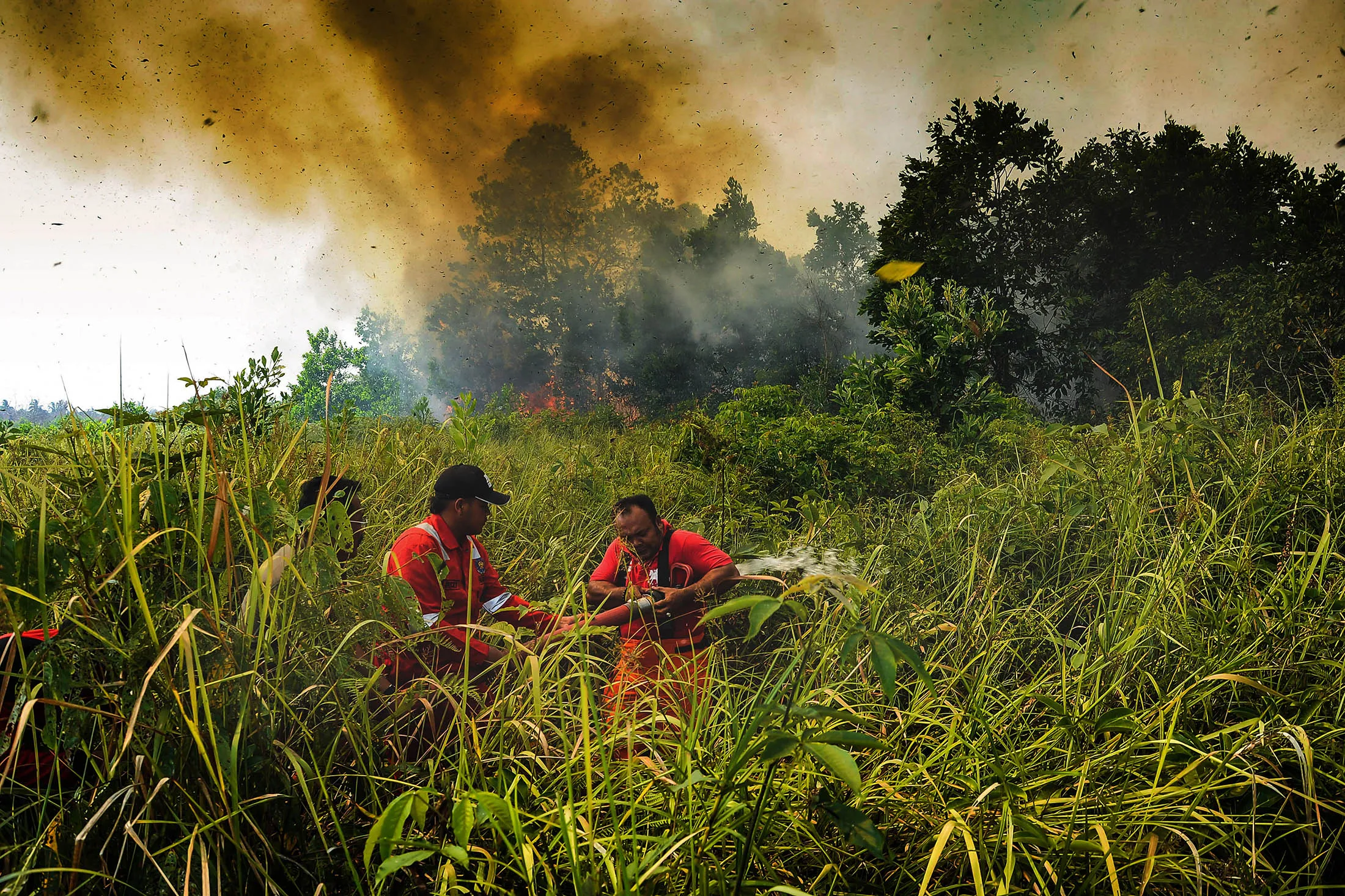 Firefighters were trying to extinguish the peat fires in Meranti Island, Indonesia.

