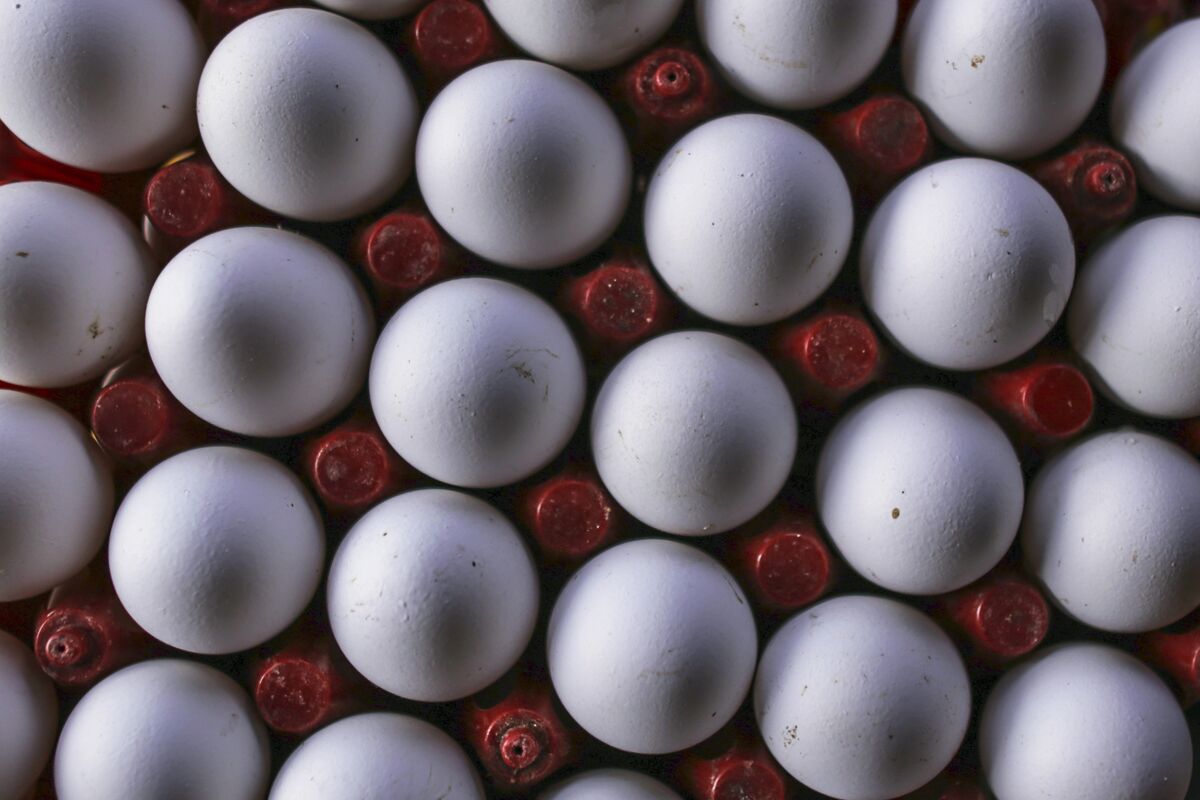 New York Accuses Top U.S. Egg Producer Hillandale Farms of Covid Price