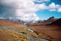 Arctic National Wildlife Refuge Eyed for Oil Drilling