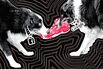 Google and Facebook's Fight for the Future of Tech