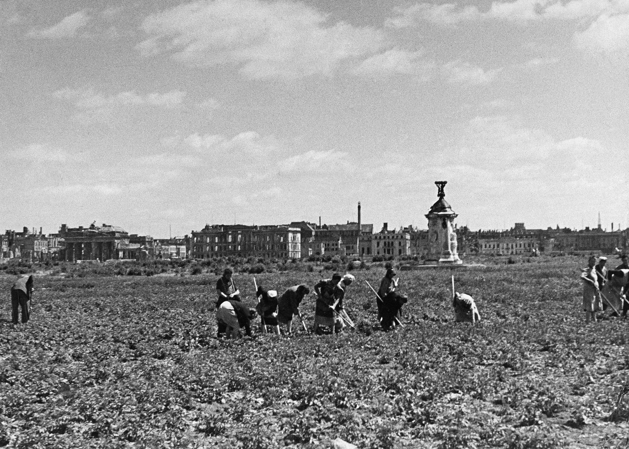 Residents work&nbsp;on a potato field in front of the Brandenburg Gate in Berlin following World War II.