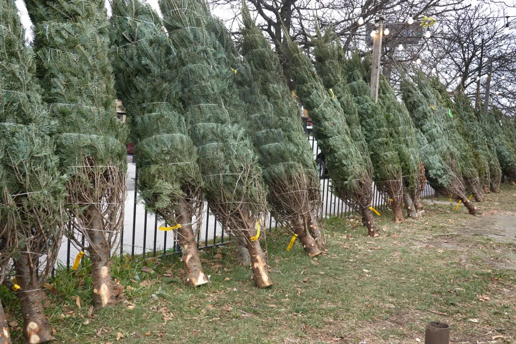 A little more expensive this year.&nbsp;