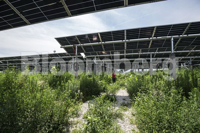 The Solar-Powered Future Is Being Assembled in China