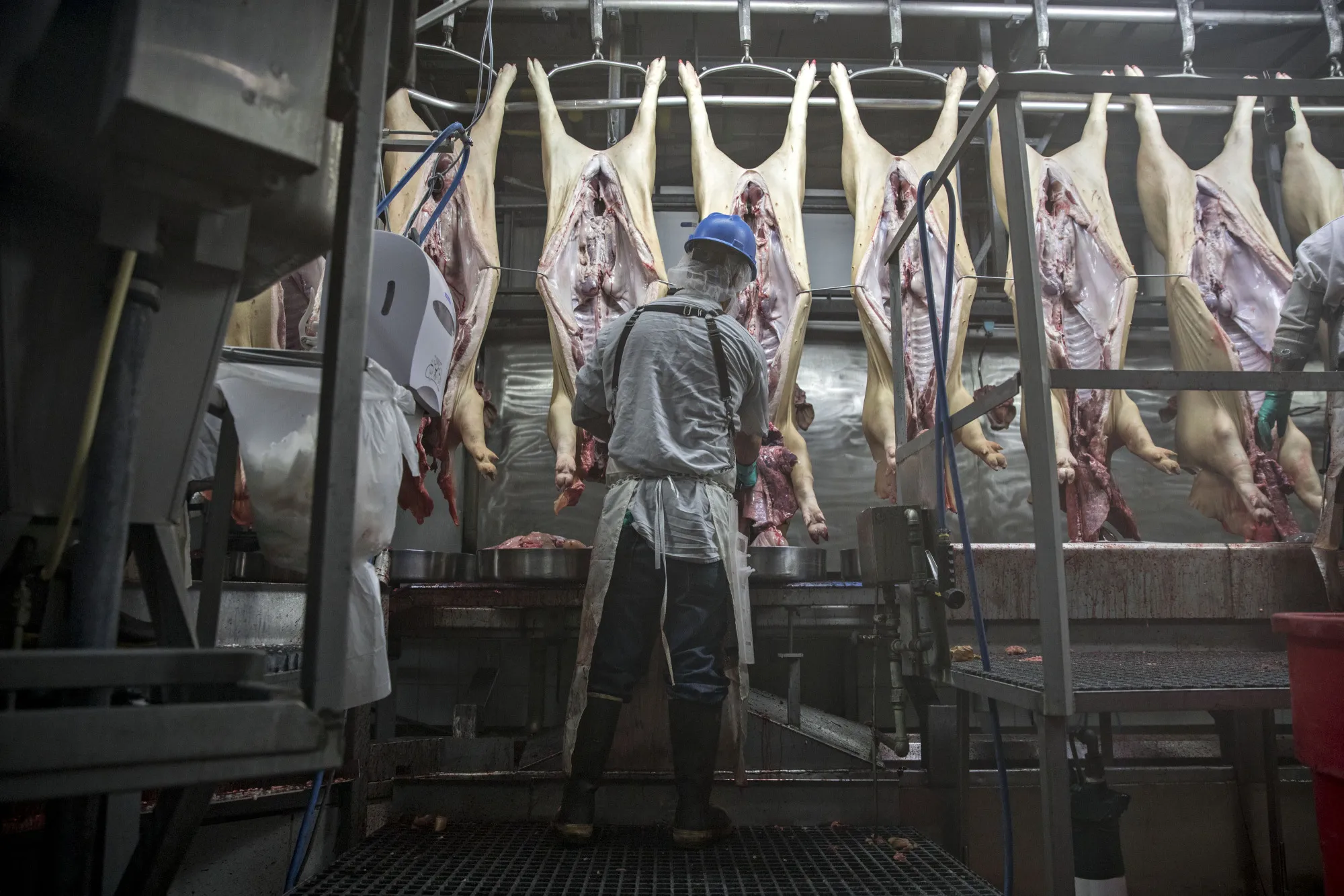 An employee works on the production line&nbsp;at a pork processing facility in Missouri.