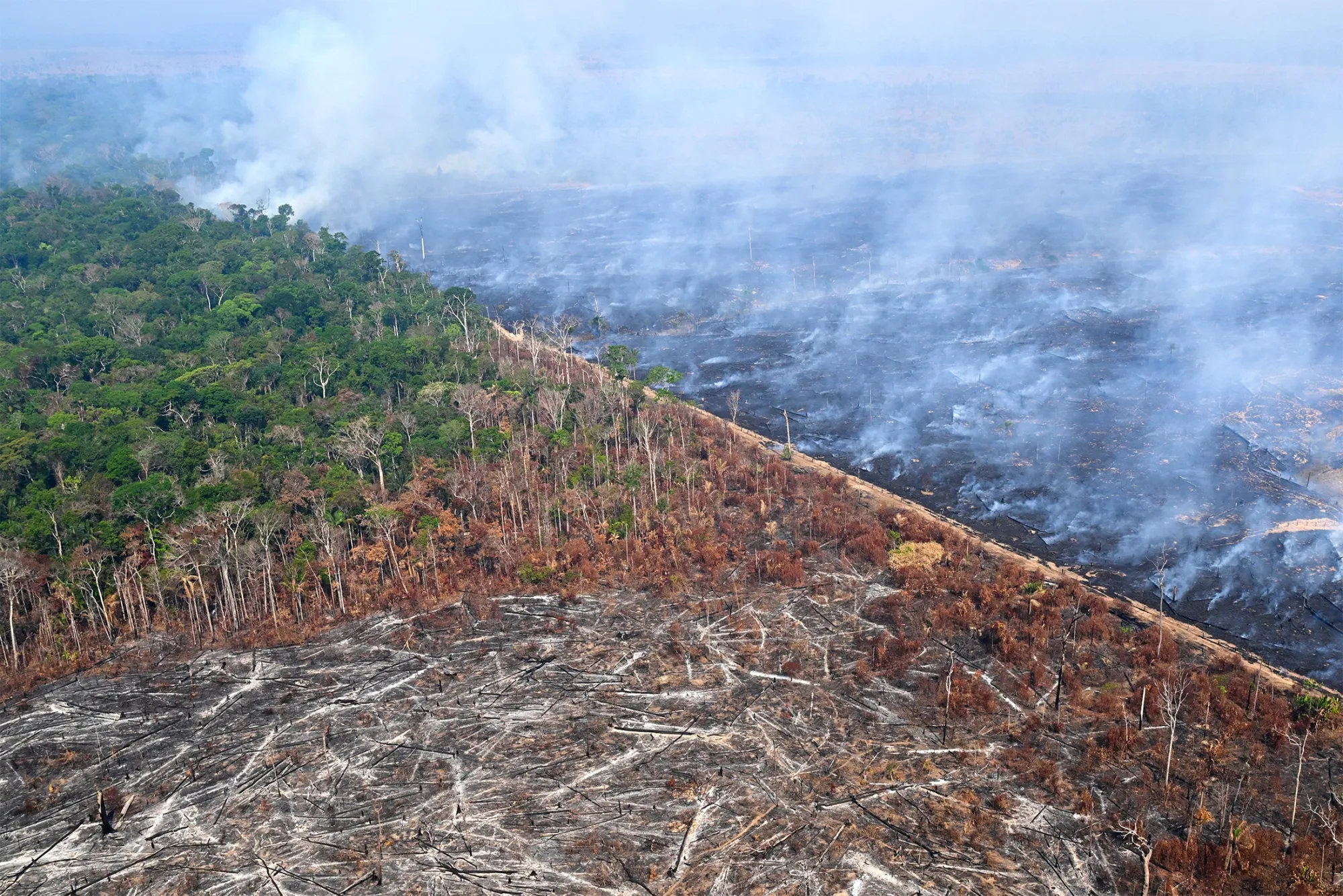 An area of the Amazon deforested by illegal fire in Labrea, Brazil.