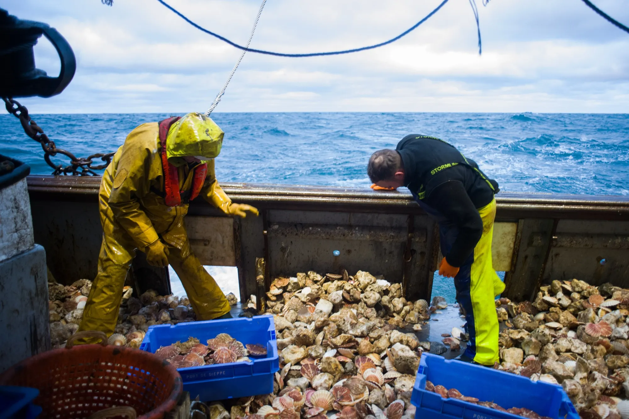 Fishers&nbsp;sort scallops aboard a French fishing trawler in the English Channel in 2021.