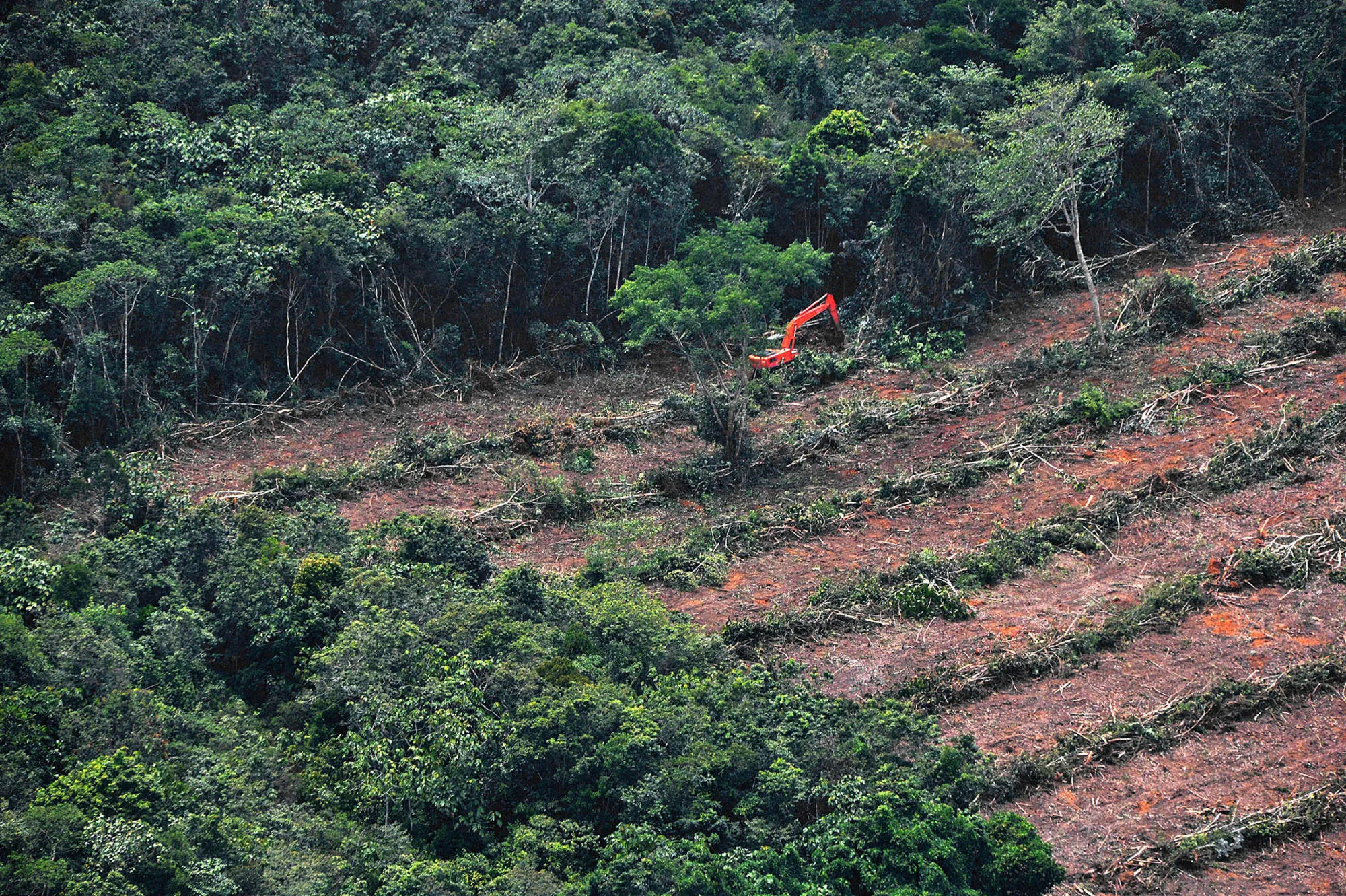 1473828525_indonesia deforestation