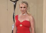 Britney Spears' Ex Convicted of Trespassing in Wedding Raid