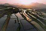 TOPSHOT - A farmer walks in a terraced rice paddy at sunset in Congjiang, in southwest China's Guizhou Province on April 15, 2025. (Photo by AFP) / China OUT (Photo by -/AFP via Getty Images)