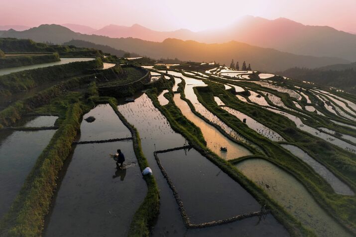 TOPSHOT-CHINA-ECONOMY-AGRICULTURE