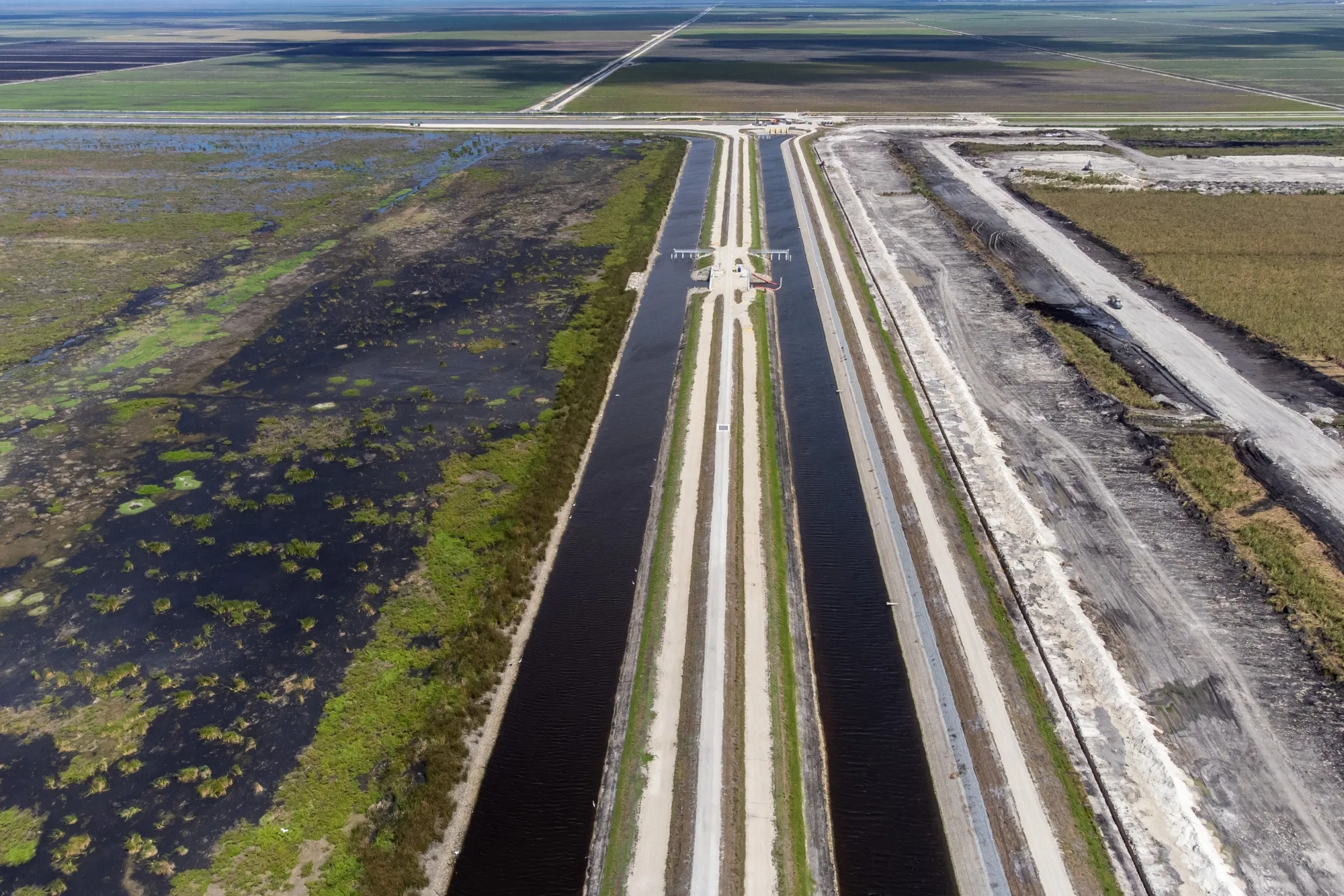 Un gran humedal artificial, lleno de plantas que limpian de forma natural los contaminantes del agua, junto a un embalse del tamaño de Manhattan en construcción en los Everglades.