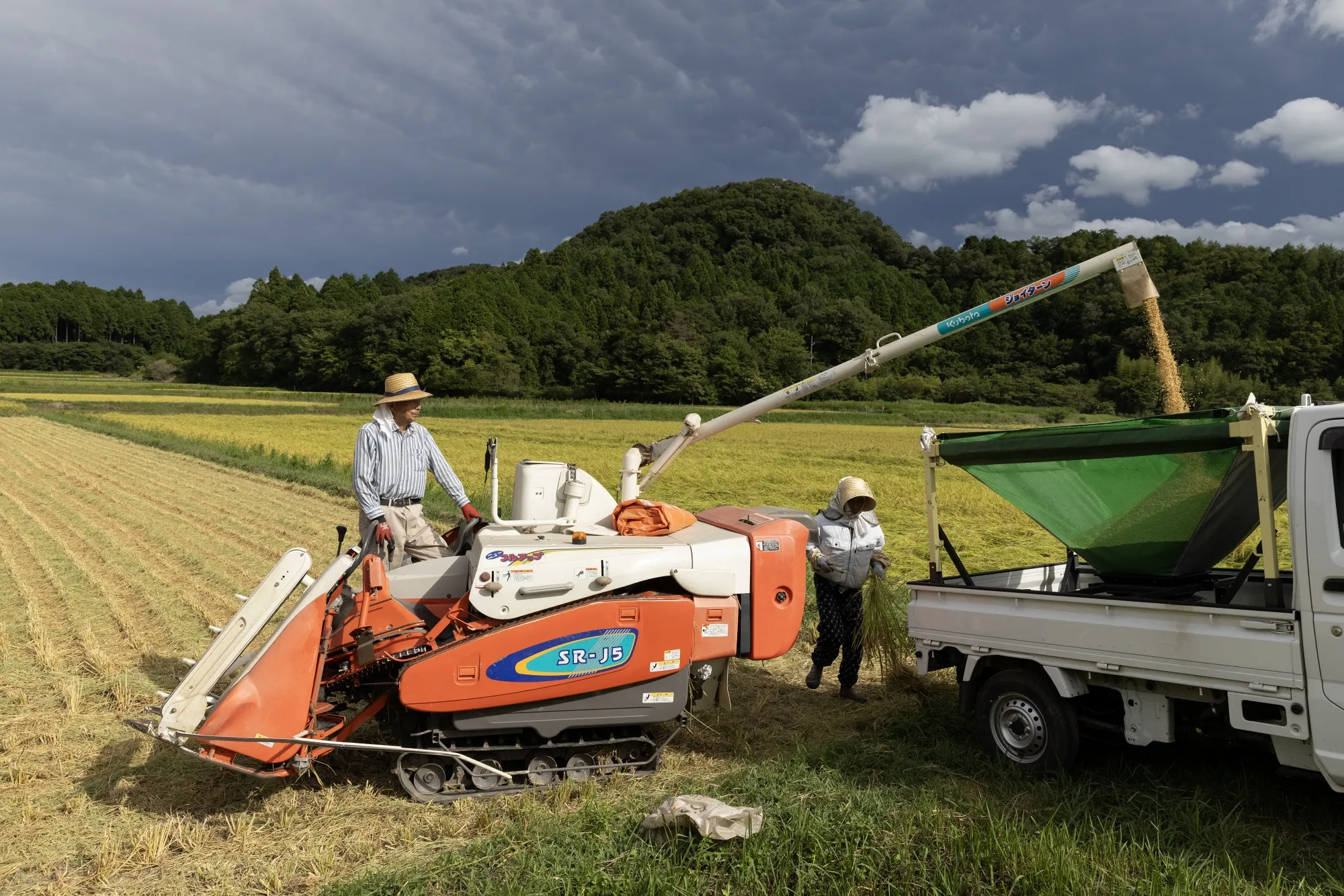 The 210,000 tons is about 3% of the country’s forecasted annual demand, according to Bloomberg’s calculations.&nbsp;