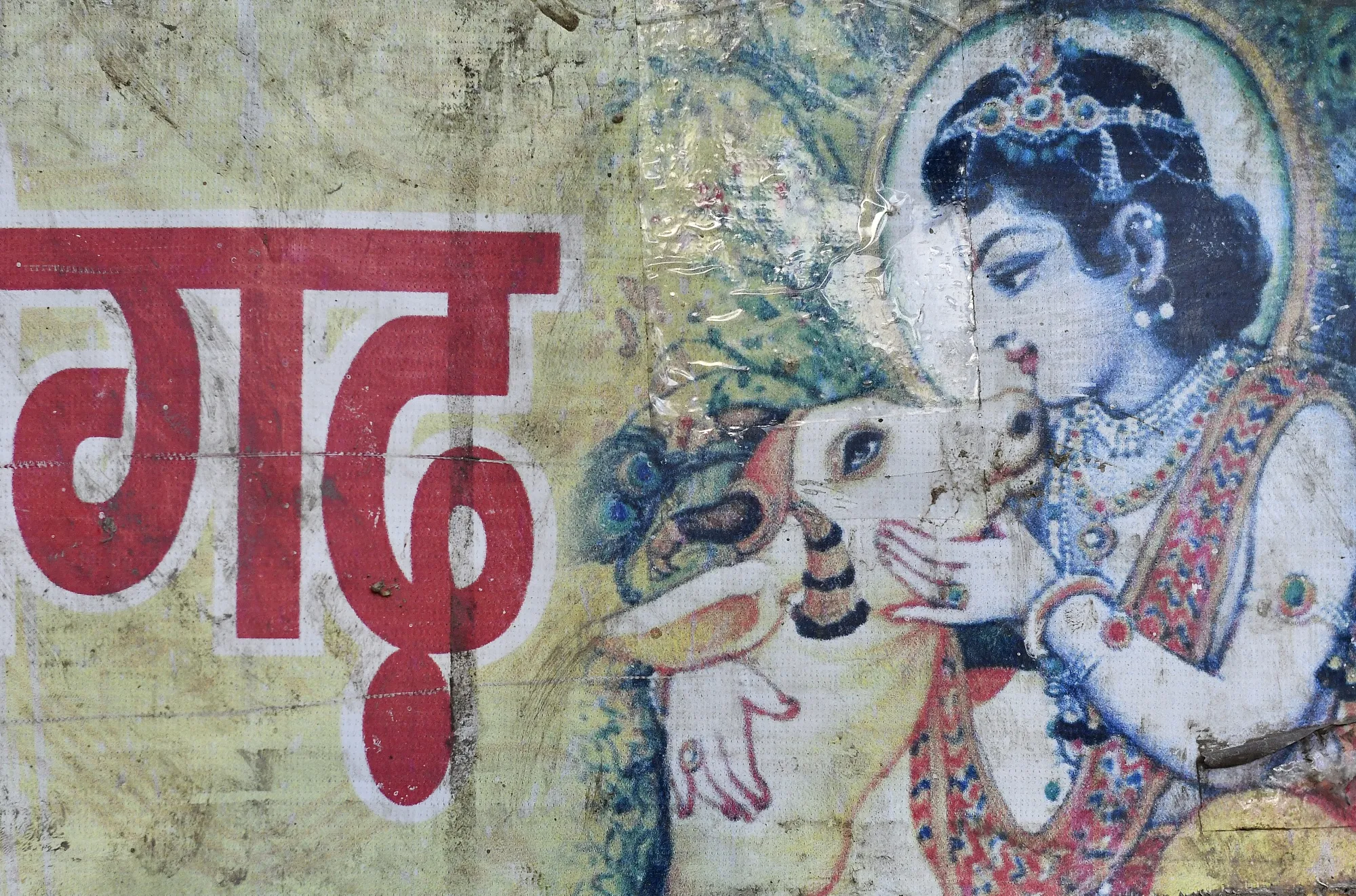 A picture of a Hindu deity with a cow as a companion is displayed at a cow shelter in&nbsp;Uttar Pradesh, India.