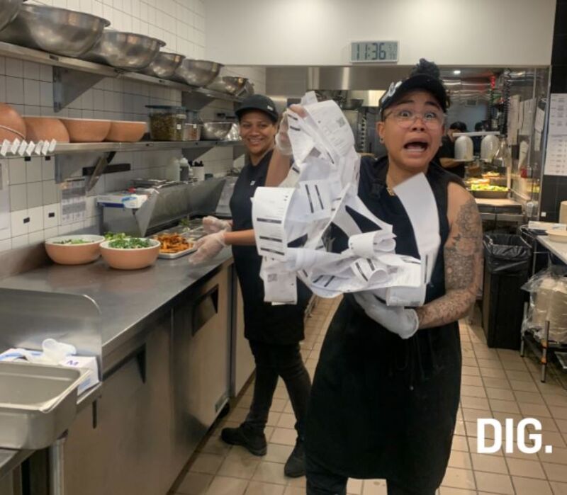 dig lunch email promo