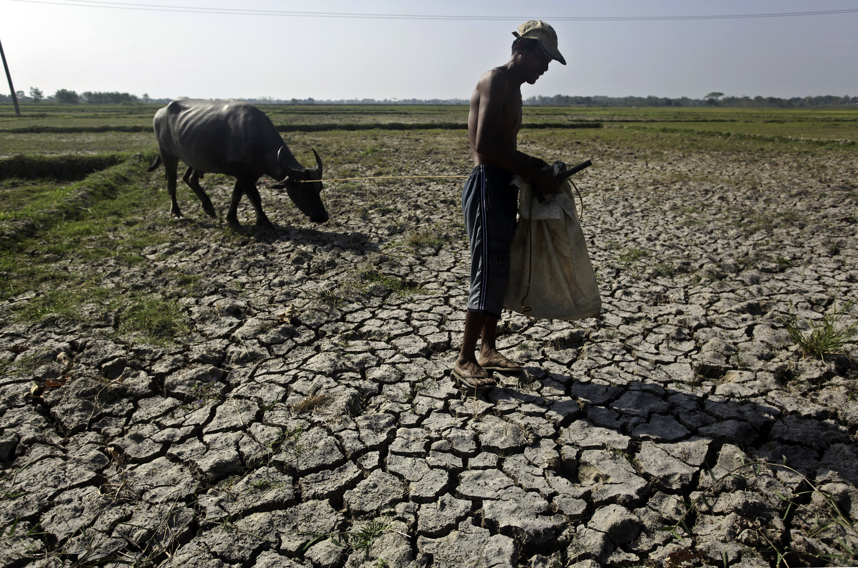 El Nino’s Return Raises Specter of Food Inflation Spike in Asia Bloomberg