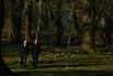 Prime Minister Keir Starmer Hosts German Chancellor Olaf Scholz At Chequers
