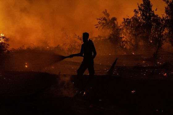 Drought, Wildfires Inflict Double Whammy on Indonesian Crops