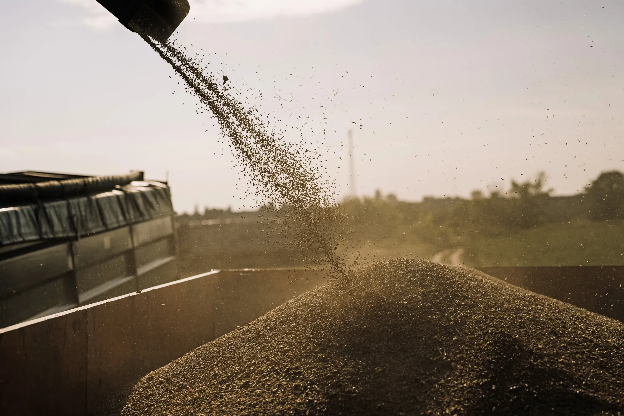 Ukraine has limited storage space as this year’s harvest piles up.